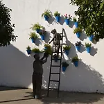 Nuevo Sueño del Alcazar