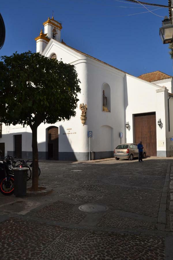 Nuevo Sueño Del Alcazar Córdoba