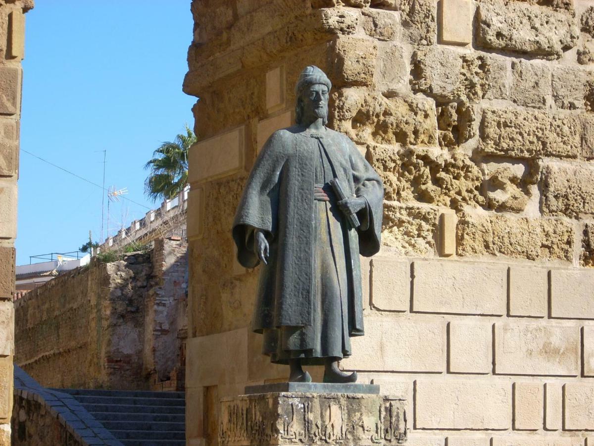 Nuevo Sueño Del Alcazar Córdoba
